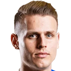 博扬·拉杜洛维奇